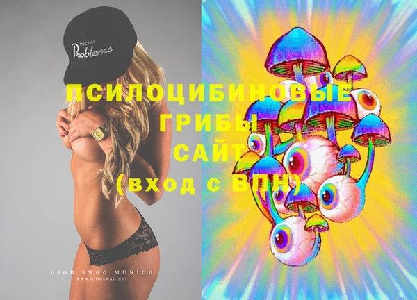 MDMA Няндома